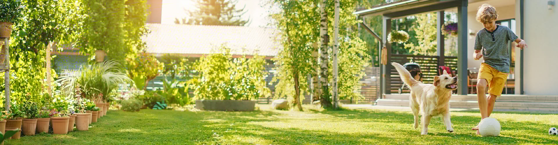 Kind spielt mit Hund im Garten